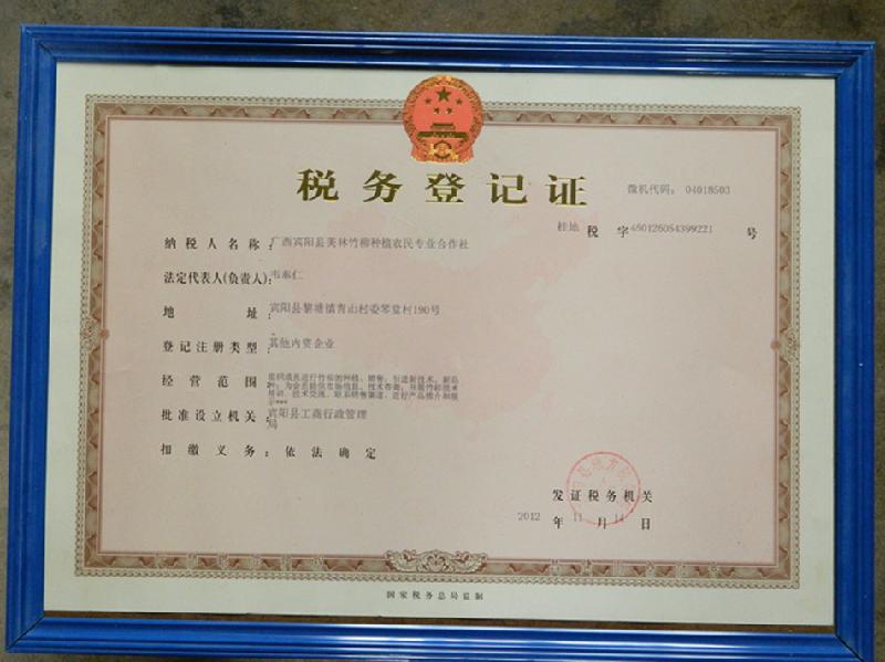 供應(yīng)南寧市五塘鎮(zhèn)竹柳苗