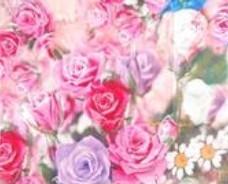 上海器皿釉銷售點(diǎn)圖片