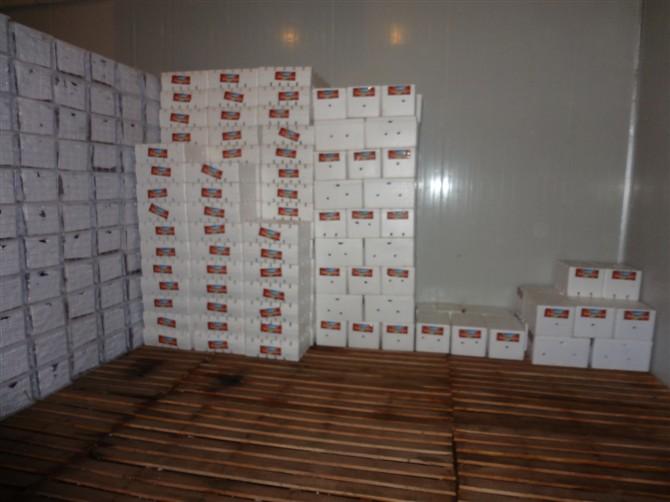 廣州紅提葡萄價格@廣州紅提葡萄批發(fā)價格@廣州紅提葡萄供應(yīng)