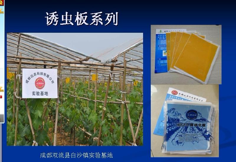 四川成都廠家批發(fā)雙面粘蟲黃板誘蟲板殺蟲板物理防蟲懸掛式2520厘米