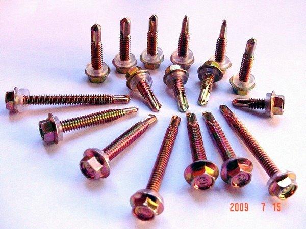 供應(yīng)鉆尾螺絲-自攻螺絲