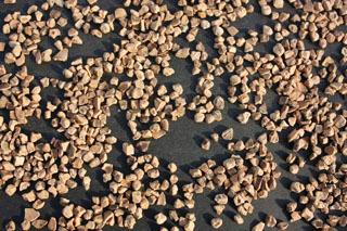 果殼濾料圖片/果殼濾料樣板圖 (2)