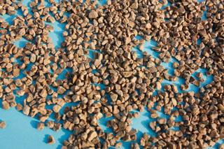 南京果殼濾料圖片