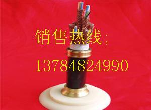 供應(yīng)高溫計(jì)算機(jī)電纜