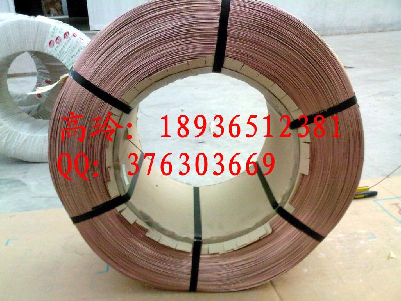 供應(yīng)鍍紫銅鋼絲輪胎鋼絲