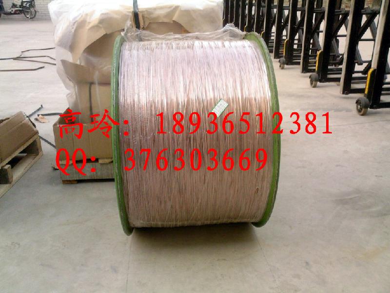 供應(yīng)鍍紫銅鋼絲輪胎鋼絲
