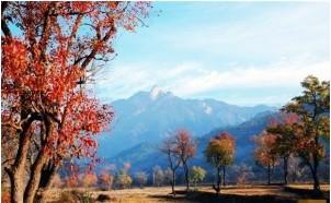 大连旅顺烟台蓬莱威海南山观光双飞图片