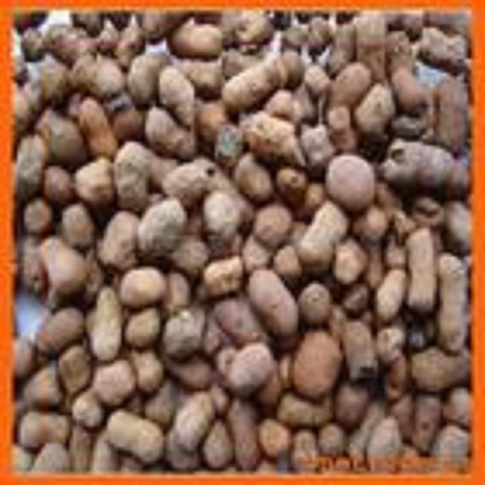 供應(yīng)專業(yè)銷售輕質(zhì)陶粒濾料