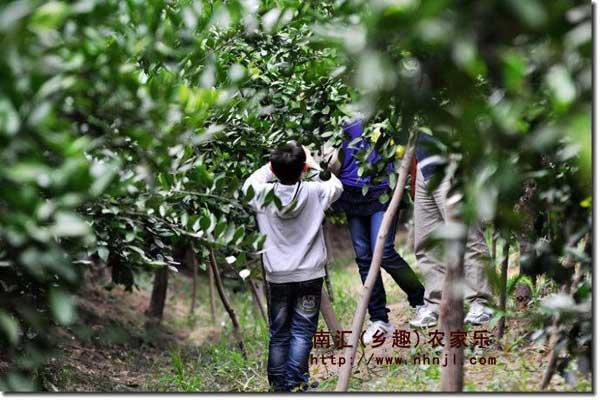 上海周边地区农家乐推荐供应上海周边地区农家乐推荐