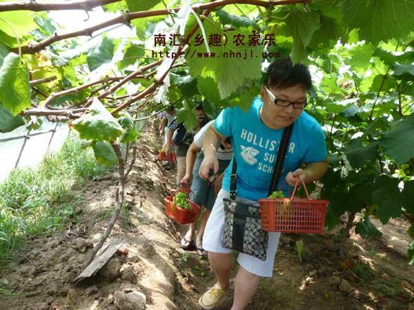 供应上海农家乐住宿推荐