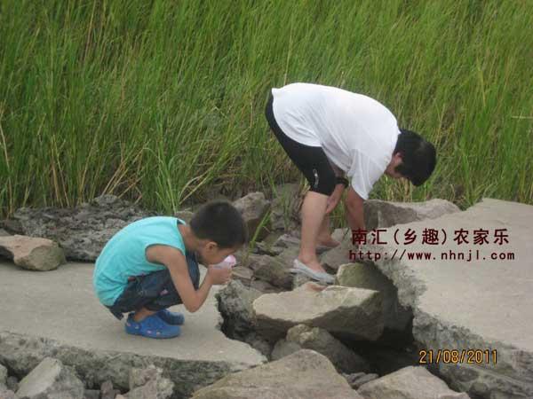 上海市暑期上海农家乐一日游厂家供应暑期上海农家乐一日游