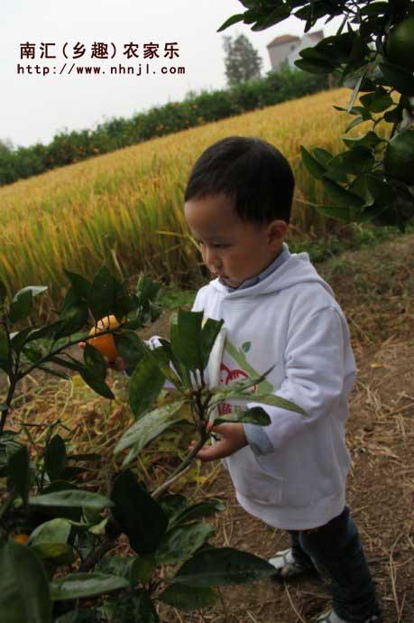 自駕游圖片/自駕游樣板圖 (3)