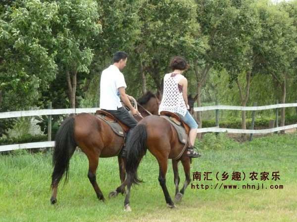 上海農(nóng)家樂旅游