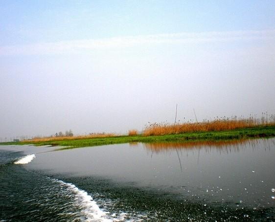 洪湖酒店预订株洲到洪湖旅游攻略洪湖蓝田景点门票图片