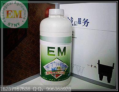 郑州市水产EM菌种-水产养殖使用EM菌种厂家供应水产EM菌种-水产养殖使用EM菌种