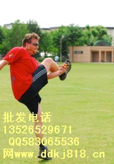 供應(yīng)神奇魔碟公司 代理神奇魔碟進(jìn)貨額度 神奇魔碟多少錢一個