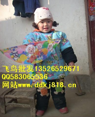 供應(yīng)益智飛鳥玩具，快樂飛天大鳥廠家直銷