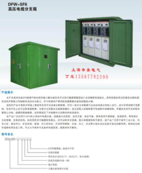 乐清市一进一出/10KV/35KV电缆分支箱价格厂家