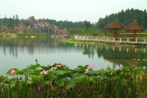 景觀池循環(huán)水處理設(shè)備-循環(huán)水泵圖片