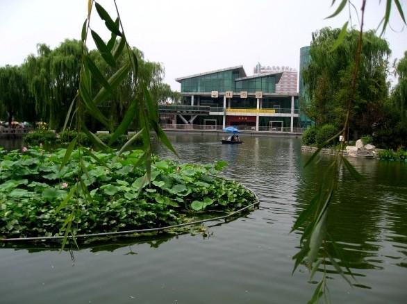 供應(yīng)人工湖凈化過(guò)濾設(shè)備