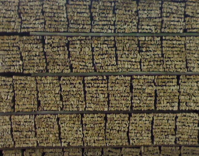 供應(yīng)衡陽(yáng)楠竹批發(fā),湖南楠竹收購(gòu),楠竹價(jià)格,楠竹供應(yīng)商