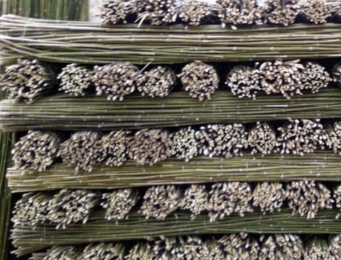 湖南菜架竹廠湘潭菜架竹圖片