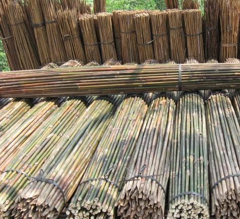 湖南菜架竹湘潭菜架竹批發(fā)圖片