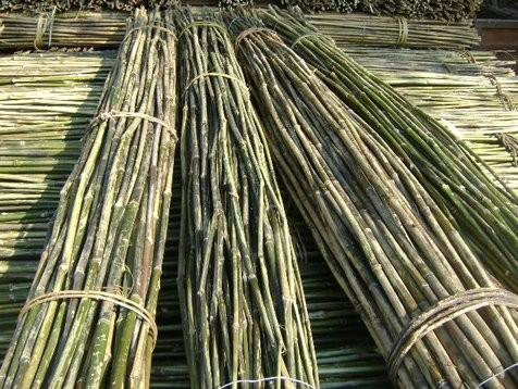 湖南菜架竹批發(fā)圖片