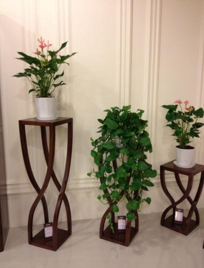 供應(yīng)黑胡桃供應(yīng)商