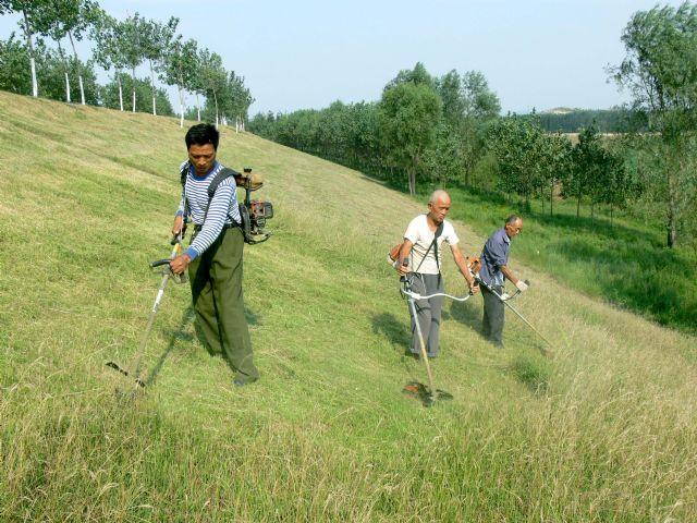 供應(yīng)小松割灌機(jī)