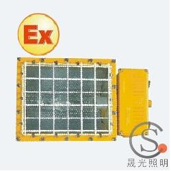 SG-BFC8110防爆泛光燈圖片