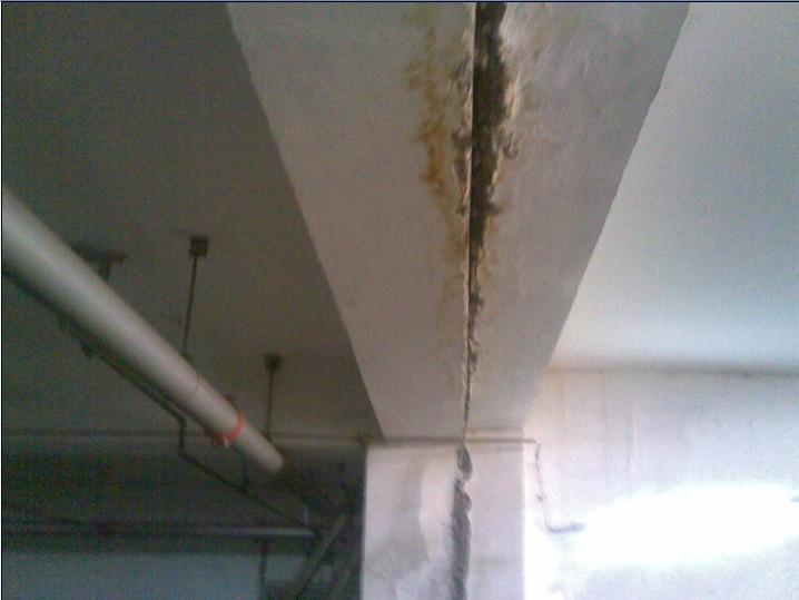 專業(yè)伸縮縫防水補漏圖片