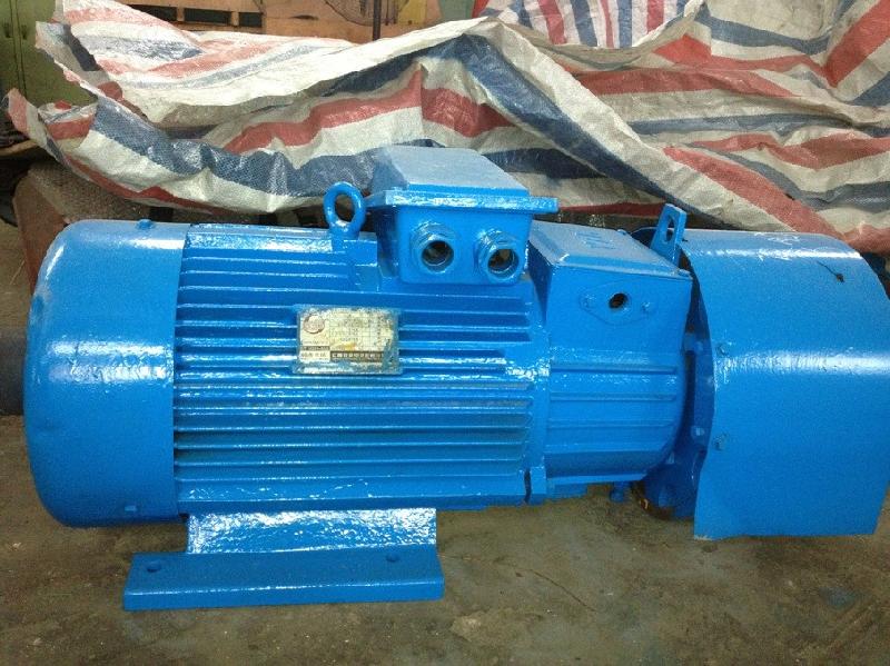 供應(yīng)河源塔吊電機(jī)維修/塔吊電機(jī)維修公司/塔吊電機(jī)維修中心