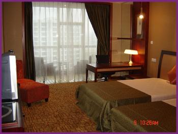 供應(yīng)北京*酒店窗簾 北京*酒店客房窗簾