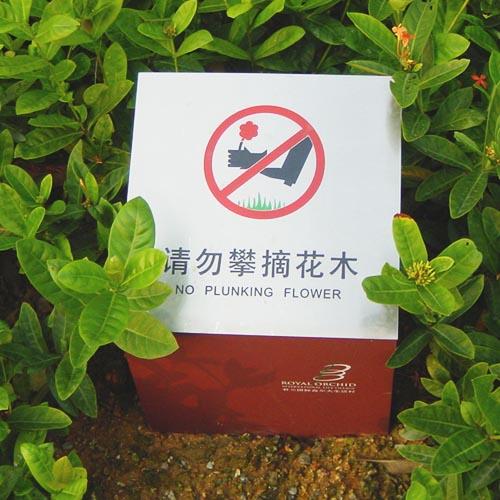 草地牌圖片/草地牌樣板圖 (3)