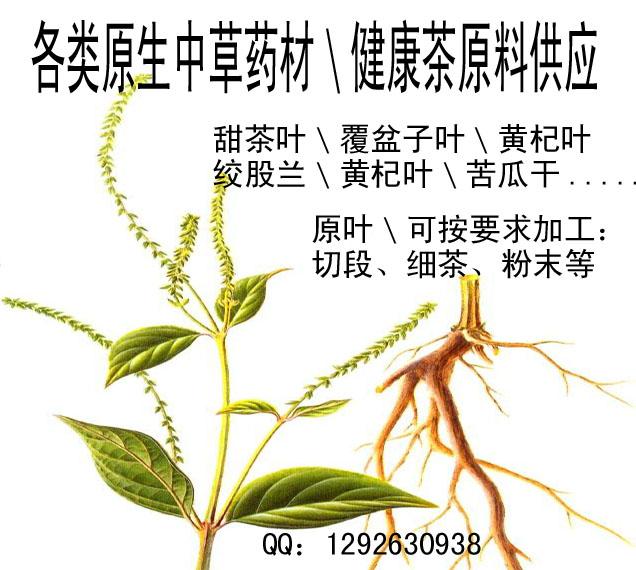 供应植物原药材原生中草药批发加工