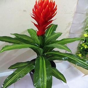 廠家直銷手感膠