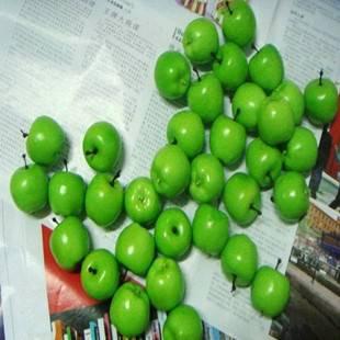 圣誕工藝亮光漿