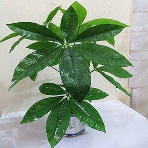 廠家直銷手感膠