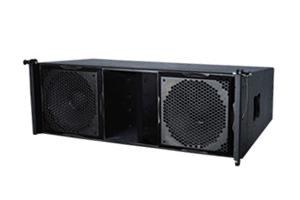 專業(yè)音響貝塔斯瑞TLB101線陣圖片