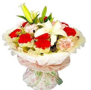 供應(yīng)深圳西麗鮮花速遞網(wǎng)