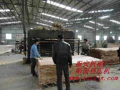 供應邢臺細木工板整套設(shè)備