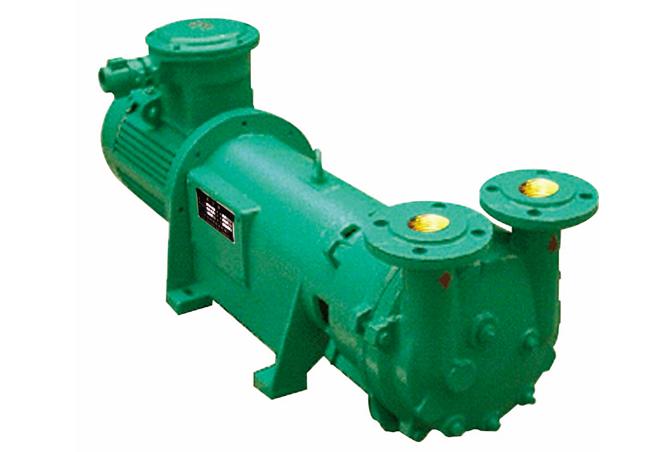 2BY6水環(huán)真空泵圖片