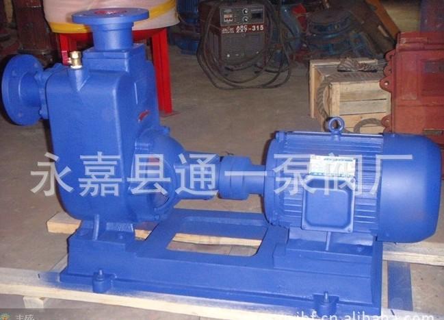 ZW排污泵無(wú)堵塞排污泵圖片