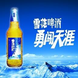 供应雪花啤酒批发