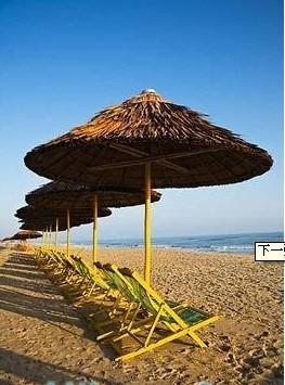 供應(yīng)越南語翻譯越南商務(wù)考察