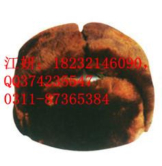 供應(yīng)棉安全帽廠家-棉安全帽- 安全帽 棉安全帽