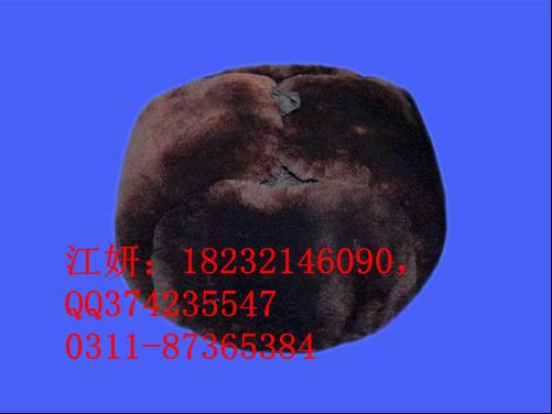 棉安全帽廠家圖片