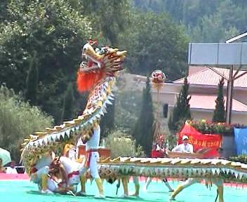 供應(yīng)貴州貴陽(yáng)舞龍舞獅