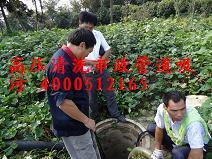 蘇州高新區(qū)滸墅關(guān)高壓清洗污水管道圖片